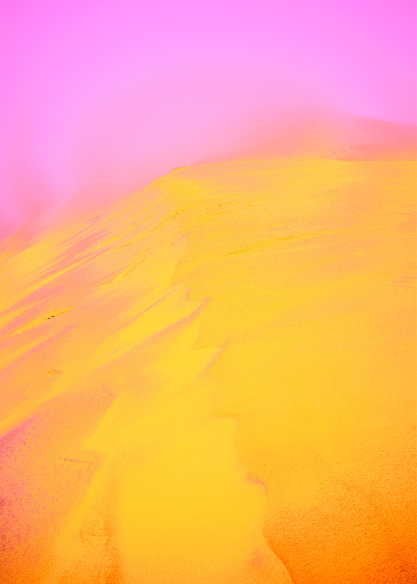 dune dorée I