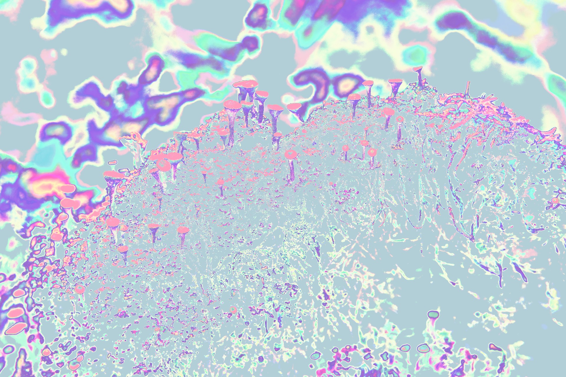 trip